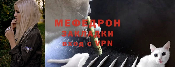 мет Алексин