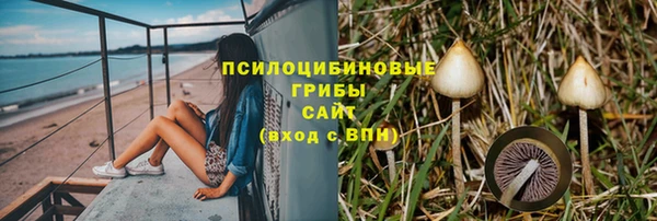 ГАЛЛЮЦИНОГЕННЫЕ ГРИБЫ Артём